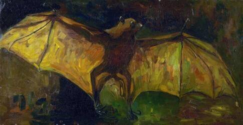 The bat (Vincent van Gogh) - Muzeo.com