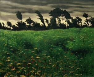 The blooming field (Félix Vallotton) - Muzeo.com