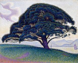 The Bonaventure Pine (Paul Signac) - Muzeo.com
