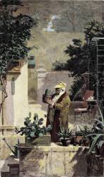 The Cactus Lover (Carl Spitzweg) - Muzeo.com