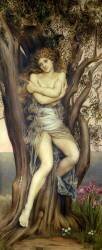 The Dryad (Evelyn de Morgan) - Muzeo.com