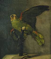 The Green Parrot (Vincent van Gogh) - Muzeo.com
