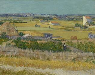 The Harvest (Vincent van Gogh) - Muzeo.com