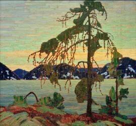 The Jack Pine (Tom Thomson) - Muzeo.com
