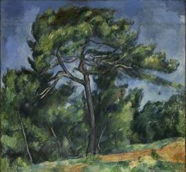 The Large Pine (Paul Cézanne) - Muzeo.com