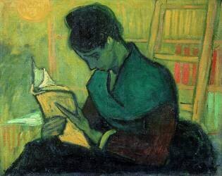 The Novel Reader (Vincent van Gogh) - Muzeo.com