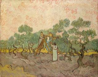 The Olive Pickers (Vincent van Gogh) - Muzeo.com