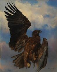 The Wounded Eagle (Rosa Bonheur) - Muzeo.com