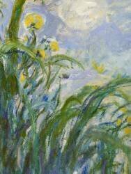 The Yellow Iris (Claude Monet) - Muzeo.com