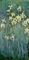The Yellow Irises (Claude Monet) - Muzeo.com