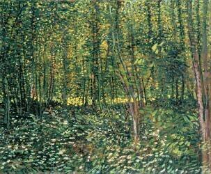 Trees and Undergrowth (Vincent van Gogh) - Muzeo.com