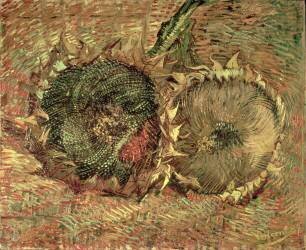 Two Cut Sunflowers (Vincent van Gogh) - Muzeo.com