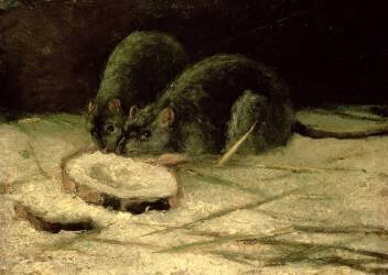 Two Rats (Vincent van Gogh) - Muzeo.com