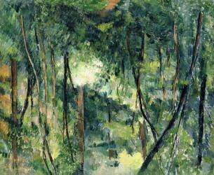 Undergrowth (Paul Cézanne) - Muzeo.com
