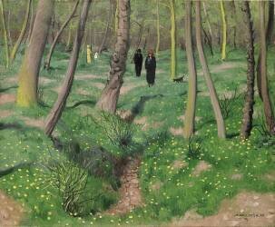 Undergrowth in Spring (Félix Vallotton) - Muzeo.com