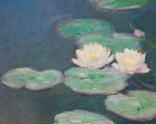 Waterlilies (Claude Monet) - Muzeo.com