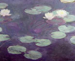 Waterlilies (Claude Monet) - Muzeo.com
