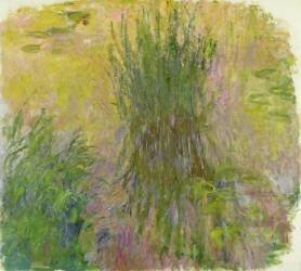 Waterlilies (Claude Monet) - Muzeo.com