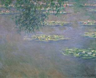Waterlilies (Claude Monet) - Muzeo.com