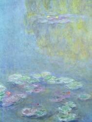 Waterlilies (Claude Monet) - Muzeo.com