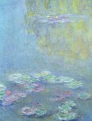Waterlilies (Claude Monet) - Muzeo.com