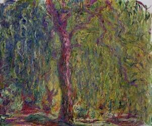 Weeping Willow (Claude Monet) - Muzeo.com