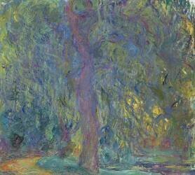 Weeping Willow (Claude Monet) - Muzeo.com
