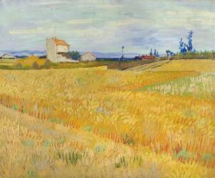 Wheat field (Vincent van Gogh) - Muzeo.com