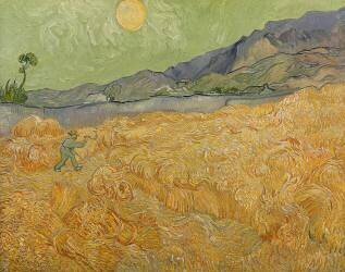 Wheatfield with Reaper (Vincent van Gogh) - Muzeo.com