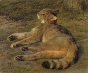 Wild Cat (Rosa Bonheur) - Muzeo.com