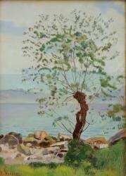 Willow at the Lake (Ferdinand Hodler) - Muzeo.com