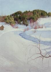 Winter Landscape (Pekka Halonen) - Muzeo.com