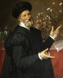 The Botanist (Bartolomeo Passarotti) - Muzeo.com