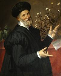 The Botanist (Bartolomeo Passarotti) - Muzeo.com