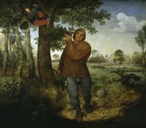 The nest robber (Pieter Brueghel the Elder) - Muzeo.com