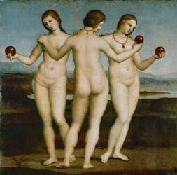The three Graces (Raffaello) - Muzeo.com