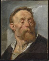 Tête d'homme (Antoon van Dyck) - Muzeo.com