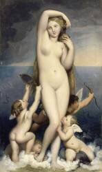 Vénus anadyomène (Jean-Auguste-Dominique Ingres) - Muzeo.com