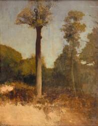 L'arbre (Odilon Redon) - Muzeo.com