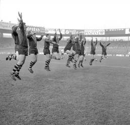 Australia Rugby Team Named The Kangaroos January 18, 1964 (b/w photo) (Rue des Archives) - Muzeo.com