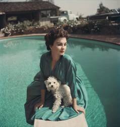 Jean Simmons (Baron) - Muzeo.com