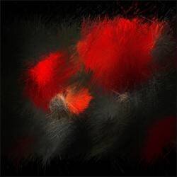 Fireworks in nature (Gilbert Claes ) - Muzeo.com