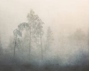 −20 (Åsmund Kværnstrøm) - Muzeo.com