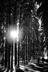 357_DXO (Jérôme Prince) - Muzeo.com