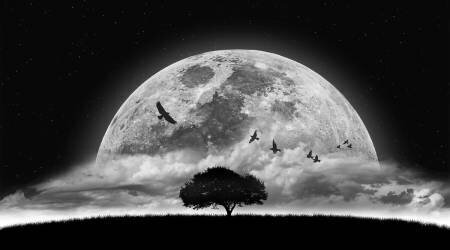 A Dream (Nasser Osman) - Muzeo.com