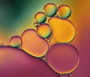 Acrobats (Heidi Westum) - Muzeo.com