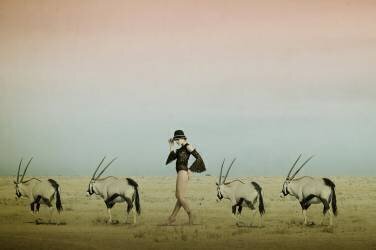 Africa IV (Christine von Diepenbroek) - Muzeo.com