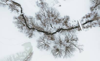 After snow (Wei (David) Dai) - Muzeo.com