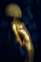 Anti-Gravity (Ruslan Bolgov (Axe)) - Muzeo.com