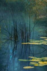 Aqua (Andreas Agazzi) - Muzeo.com